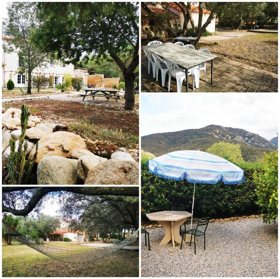 Mas Paret Studio Plein Sud - Parc 1 Ha Au Calme อาร์เจเลส-ซัวร์-แมร์ ภายนอก รูปภาพ