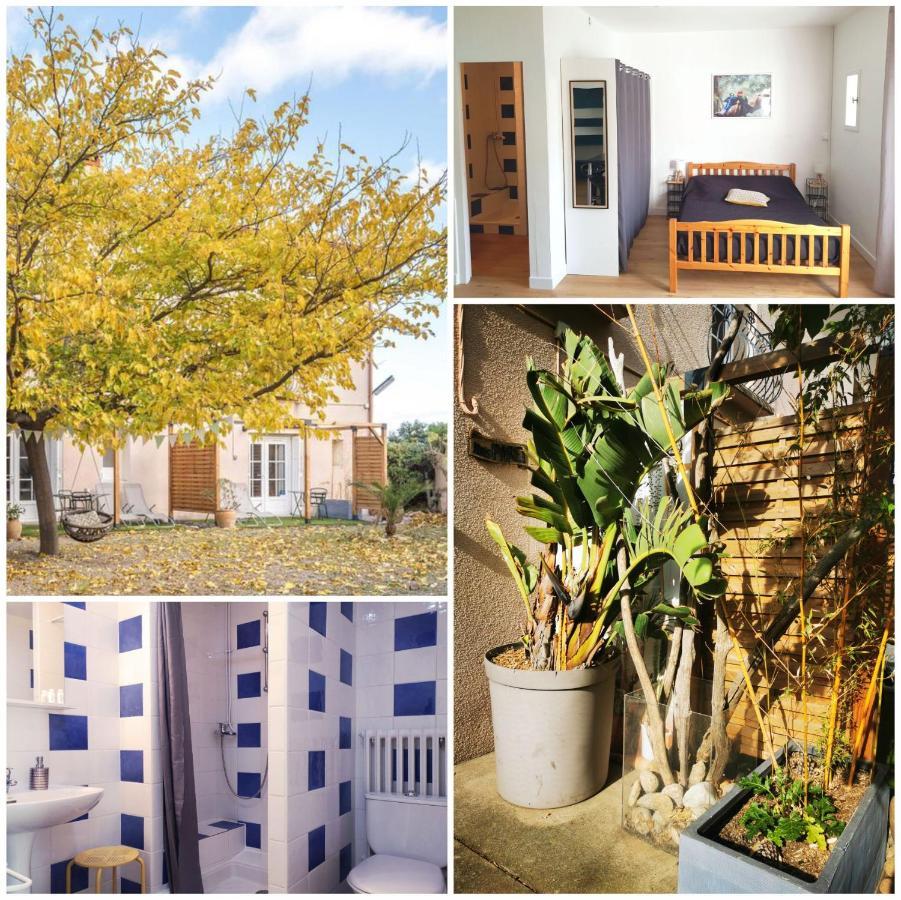 Mas Paret Studio Plein Sud - Parc 1 Ha Au Calme อาร์เจเลส-ซัวร์-แมร์ ภายนอก รูปภาพ
