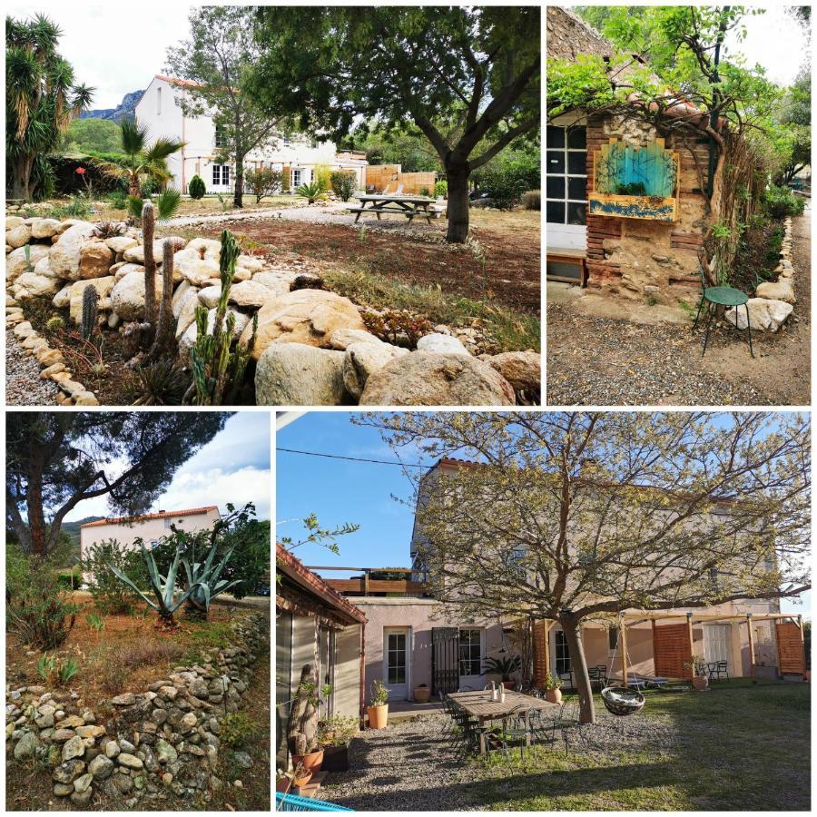 Mas Paret Studio Plein Sud - Parc 1 Ha Au Calme อาร์เจเลส-ซัวร์-แมร์ ภายนอก รูปภาพ